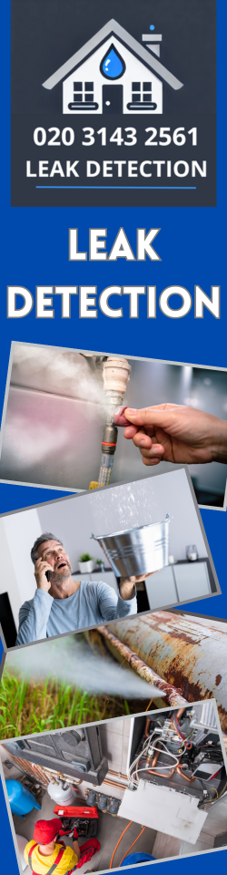 Upper Edmonton Leak Detection