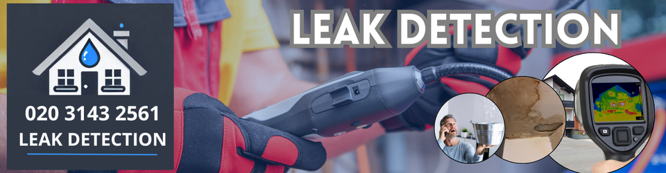 Upper Edmonton Leak Detection