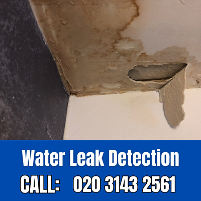 Expert Water Leak Detection Services in Upper Edmonton | Upper Edmonton Leak Detection